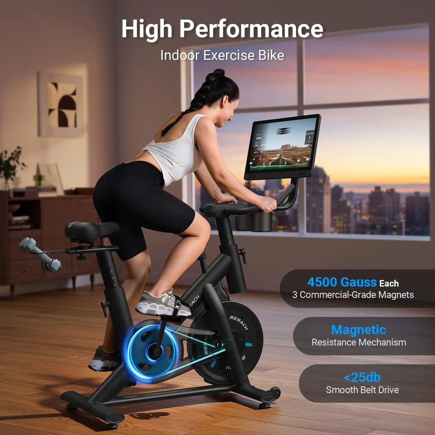 MERACH Exercise Bike Brake Pad Stationary for Weight Loss