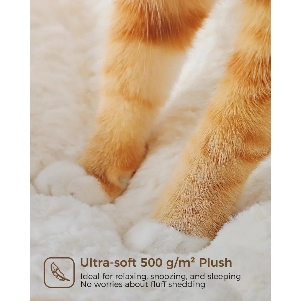 Modern Cat Tree for Large Cats with Cozy Condo and Wood Tower