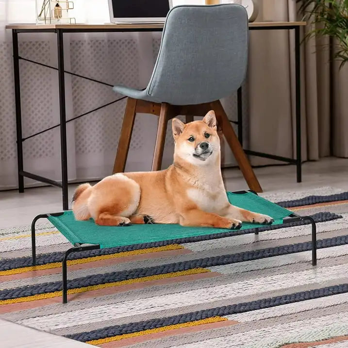 Elevated Dog Bed Cooling Raised Dog Cot for Small Medium Dogs Cats Green