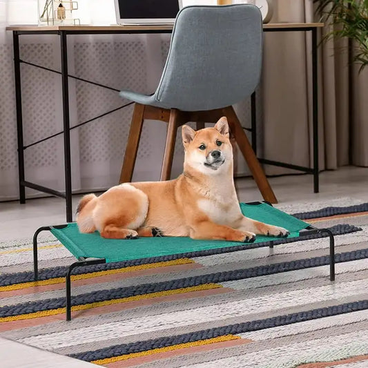 Elevated Dog Bed Cooling Raised Dog Cot for Small Medium Dogs Cats Green