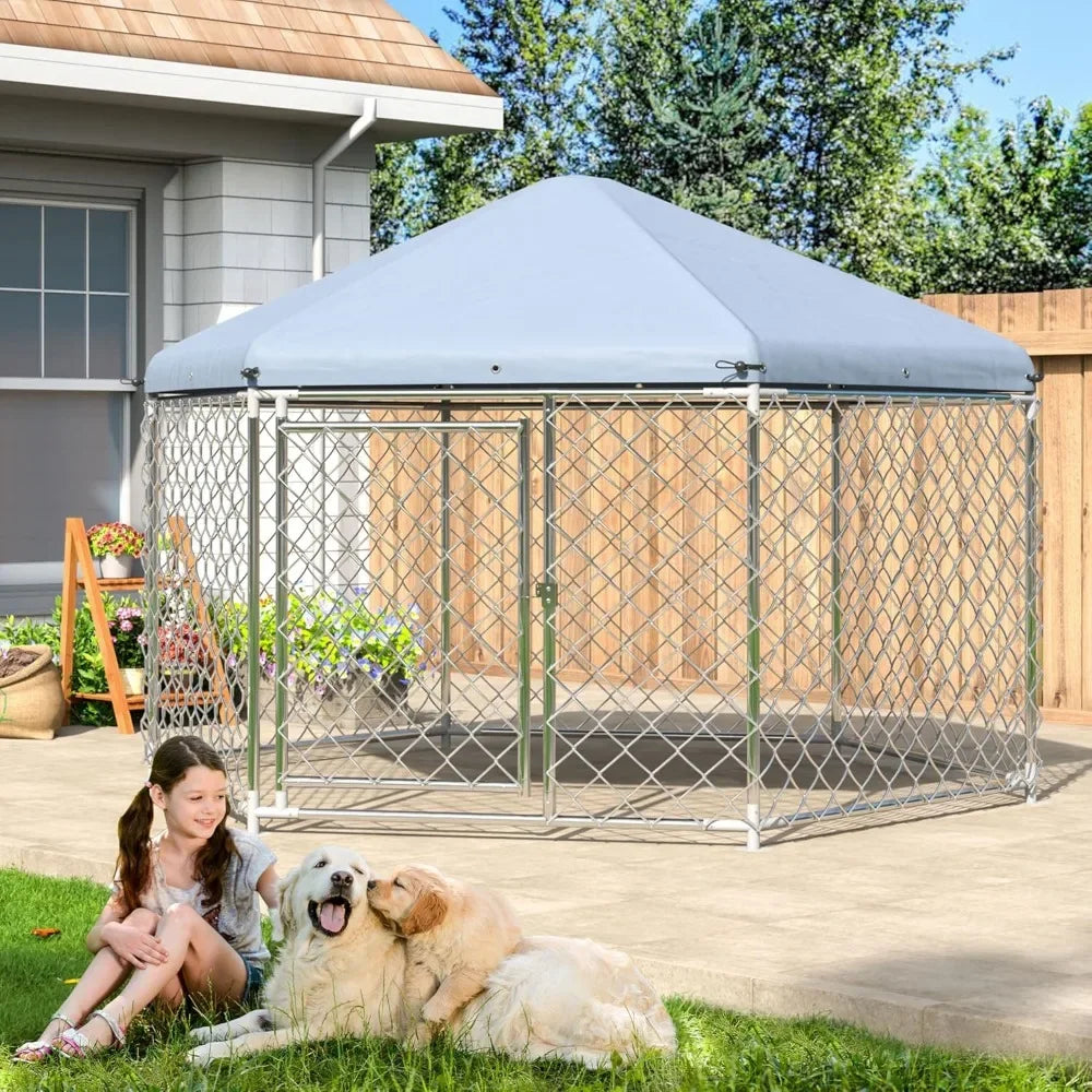 Large Dog Kennel Outside with Metal Gate and Roof