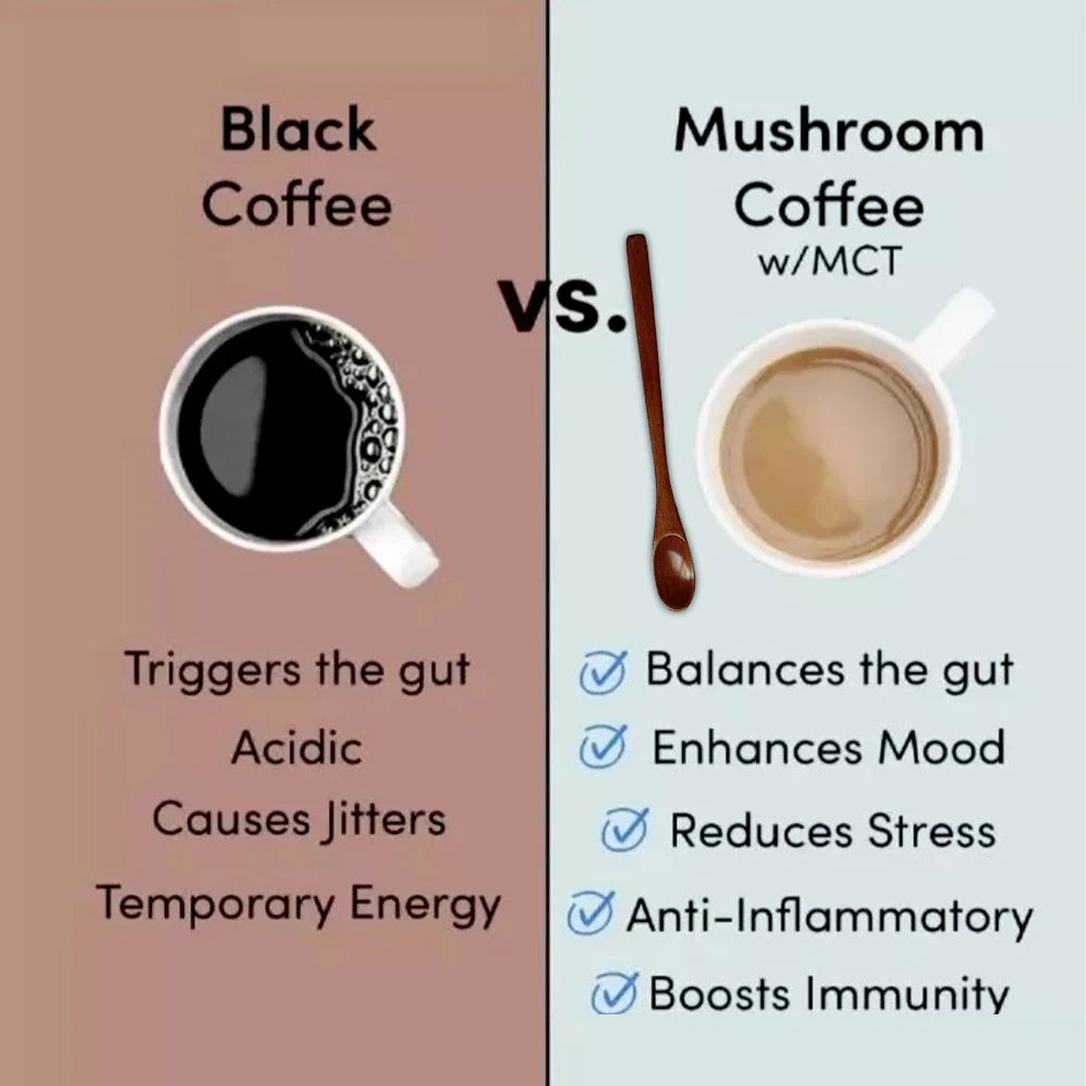 Organic Mushroom Powder Six In One Brain Health Focus