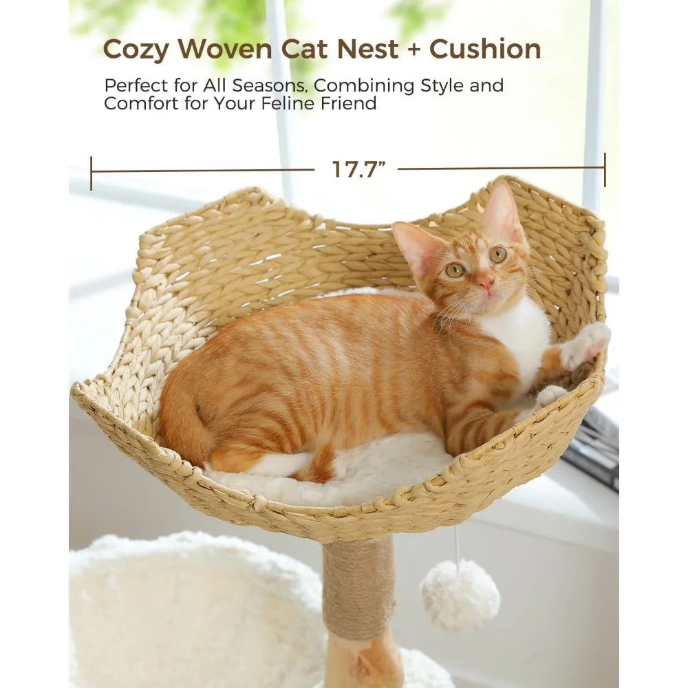 Modern Cat Tree for Large Cats with Cozy Condo and Wood Tower