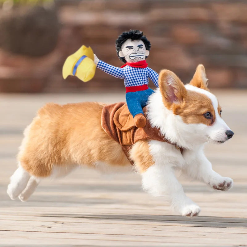 Halloween Dog Clothes Cowboy Knight Funny Change Into Suit